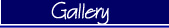 Photo Gallery Button